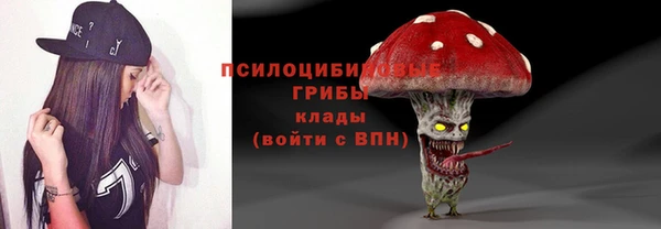 ПСИЛОЦИБИНОВЫЕ ГРИБЫ Алексин