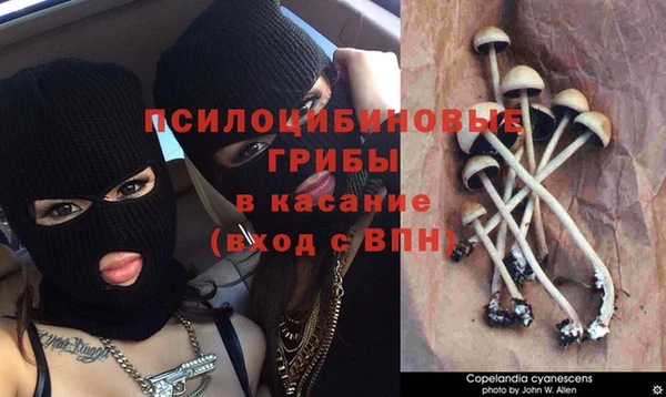 ПСИЛОЦИБИНОВЫЕ ГРИБЫ Алексин